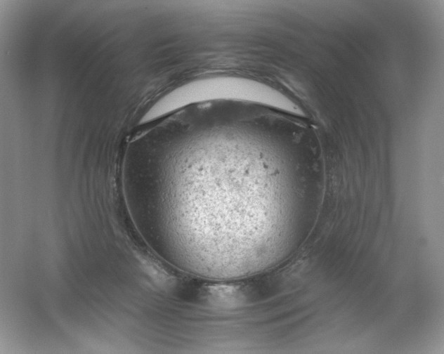 X0000061740265200512161657