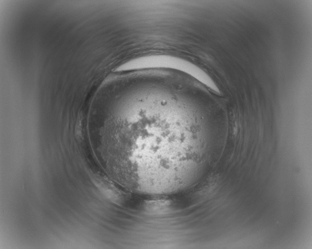 X0000061740266200512161657