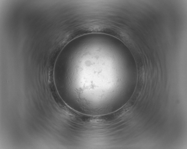 X0000061740268200512161657