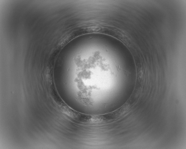 X0000061740270200512161658