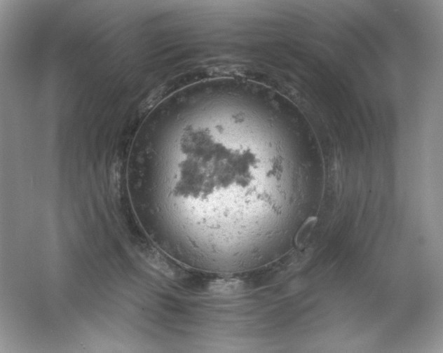 X0000061740271200512161658