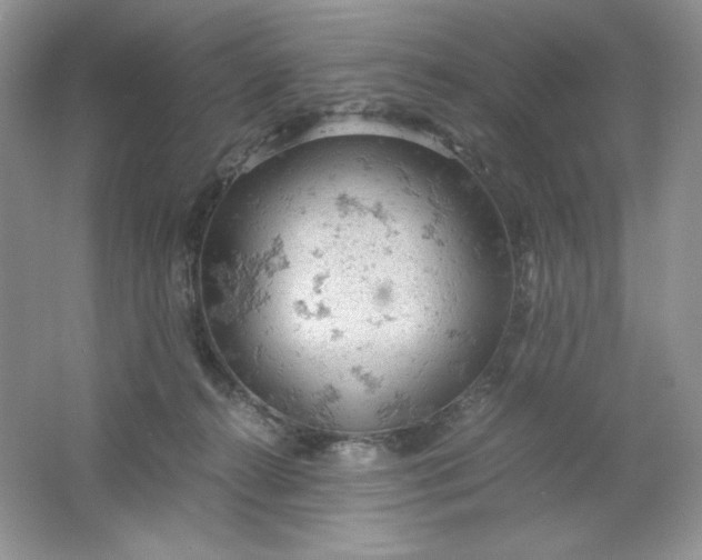 X0000061740272200512161658