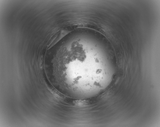 X0000061740273200512161658