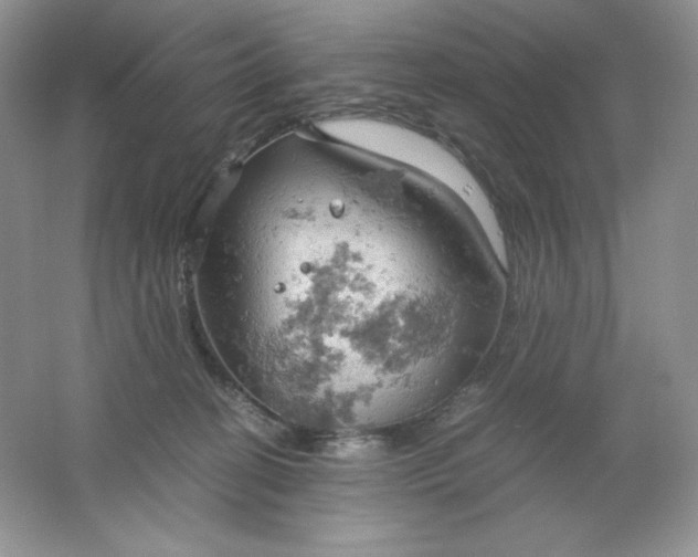 X0000061740274200512161658