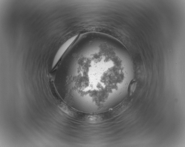 X0000061740275200512161658