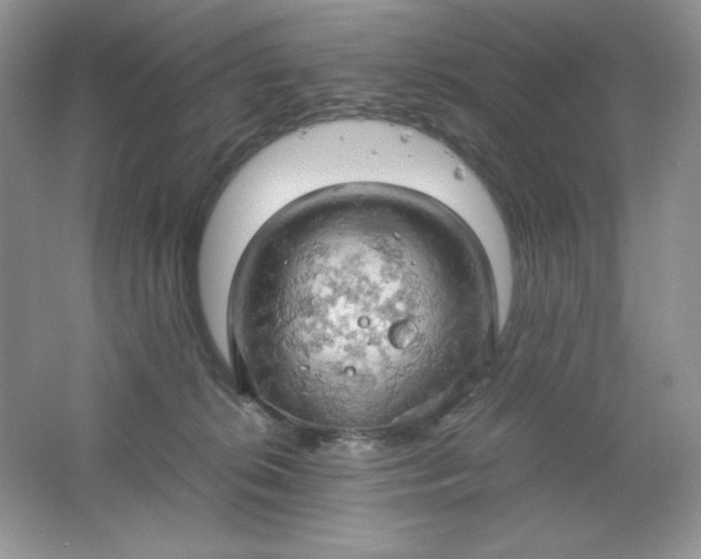 X0000061740276200512161658