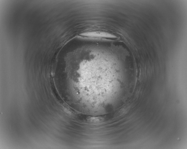 X0000061740277200512161658