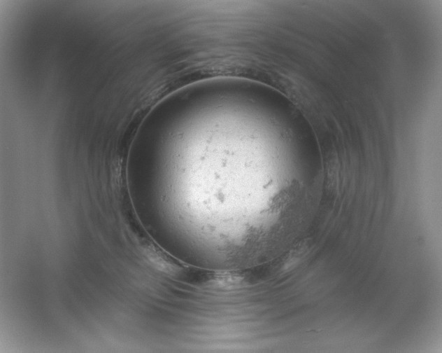 X0000061740278200512161658