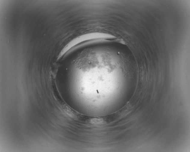 X0000061740279200512161658