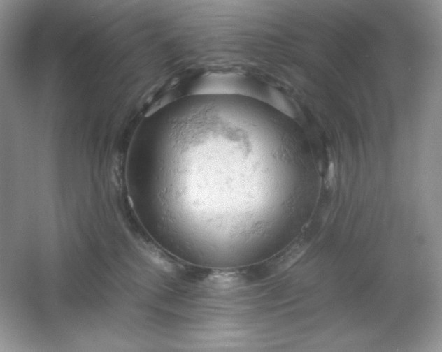 X0000061740280200512161658