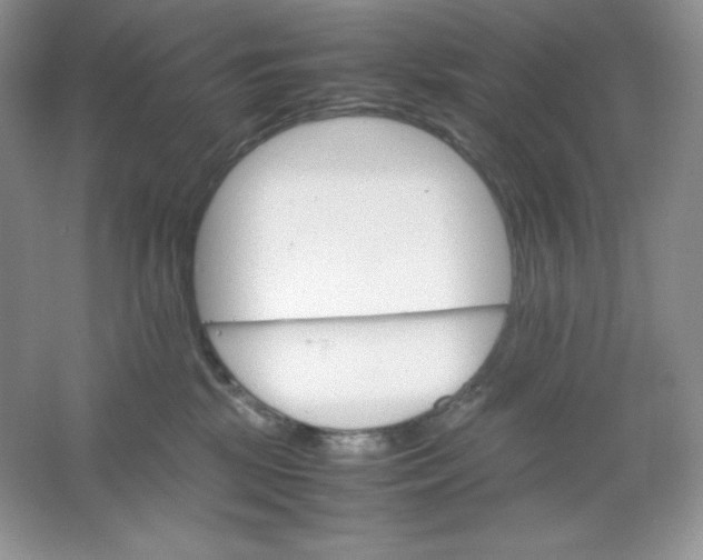 X0000061740281200512161658