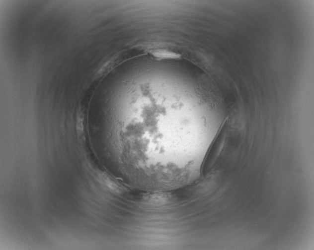 X0000061740282200512161658