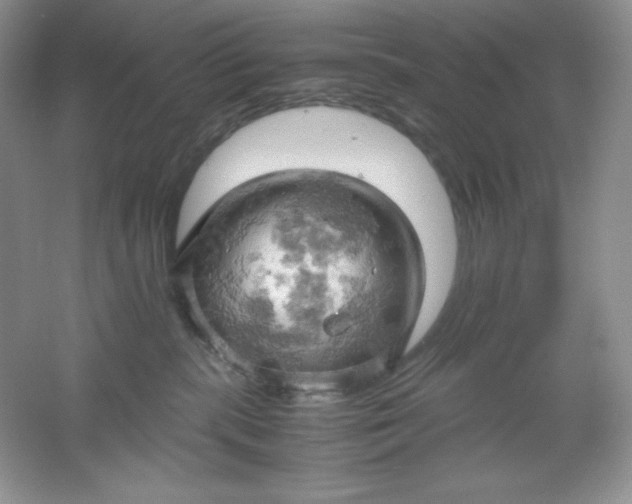 X0000061740283200512161658