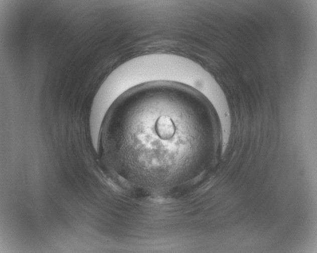 X0000061740284200512161658