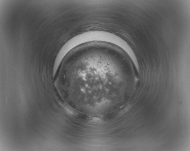 X0000061740285200512161658