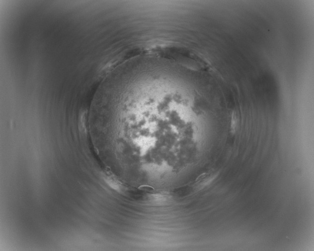 X0000061740286200512161658