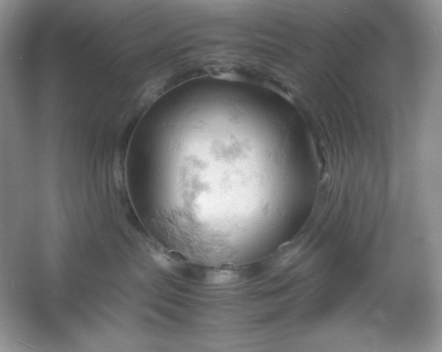 X0000061740287200512161658