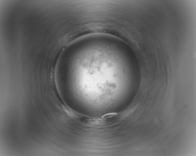 X0000061740288200512161658