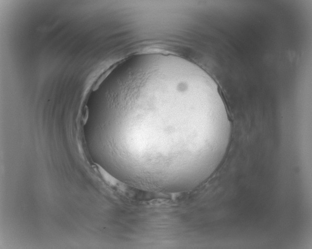 X0000061740289200512161657