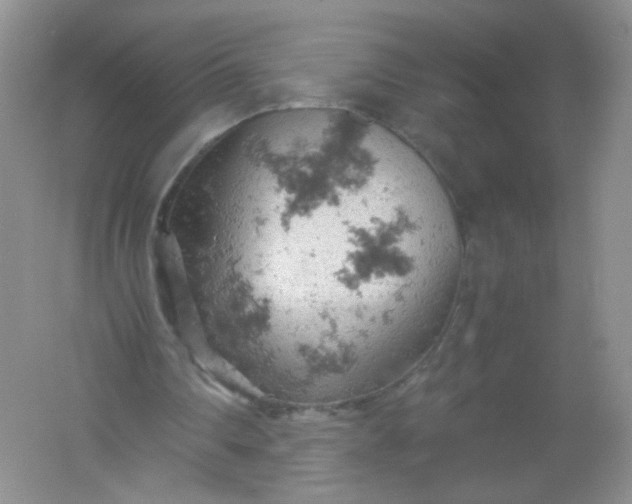 X0000061740290200512161657