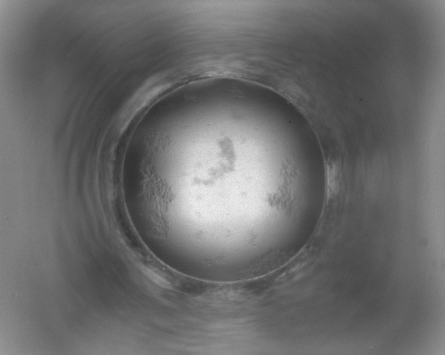 X0000061740291200512161657