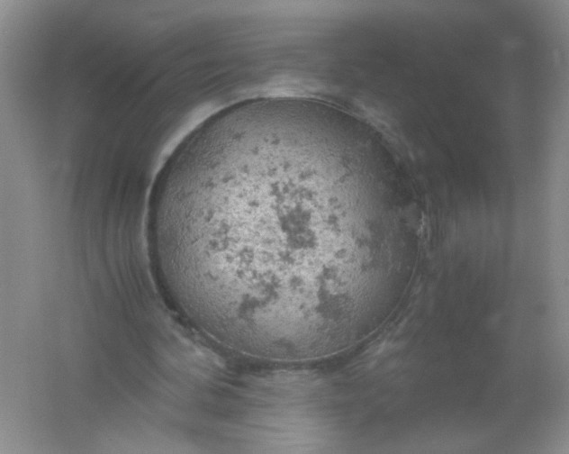 X0000061740292200512161657