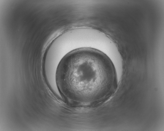 X0000061740293200512161657