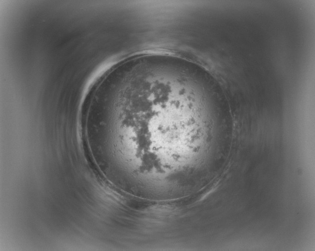 X0000061740294200512161657