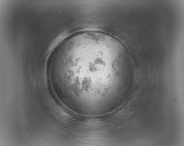 X0000061740296200512161657