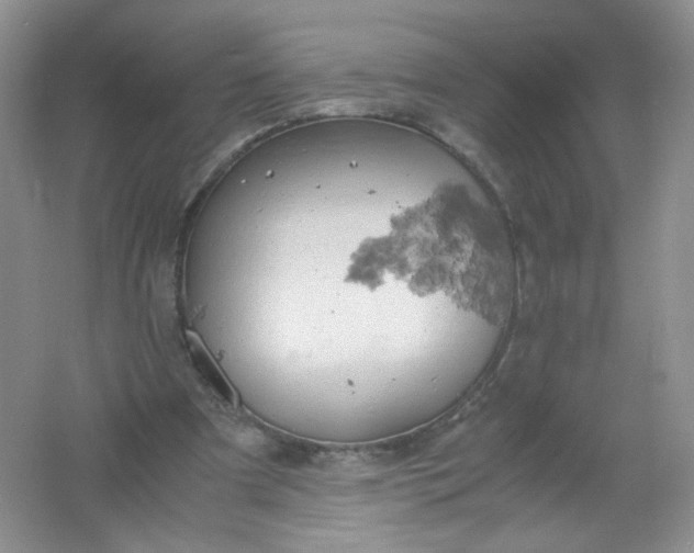 X0000061740297200512161657