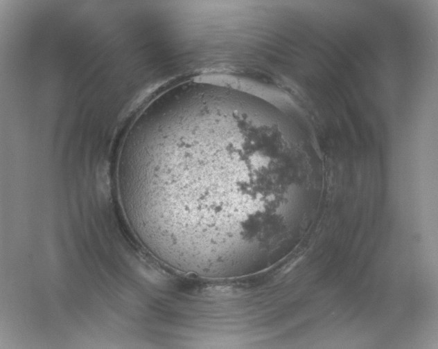 X0000061740298200512161657