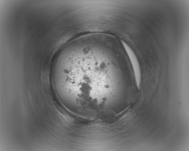 X0000061740299200512161657