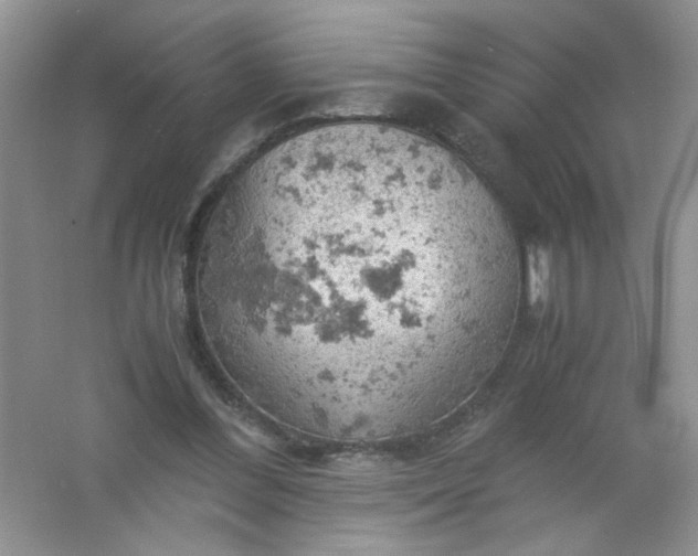 X0000061740300200512161657