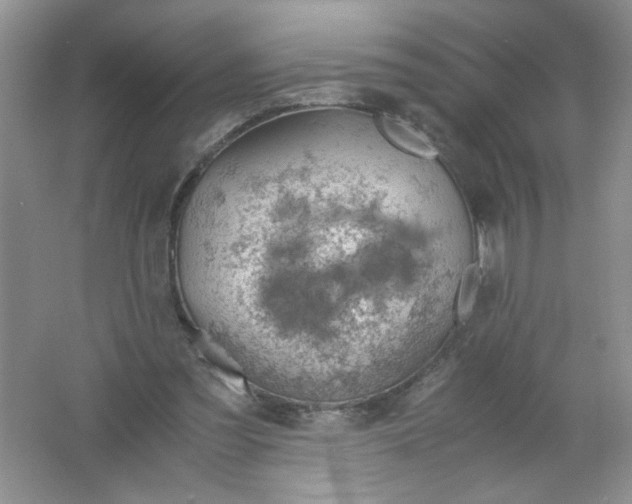 X0000061740301200512161657