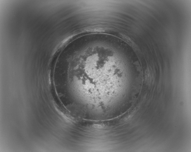 X0000061740302200512161657