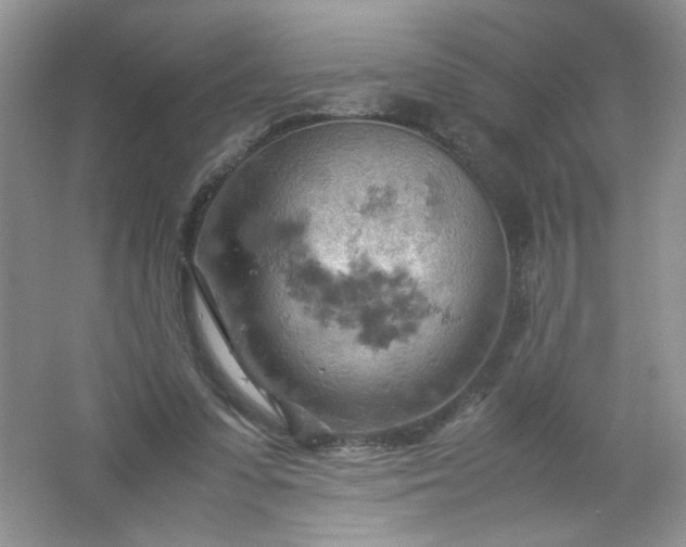 X0000061740303200512161657