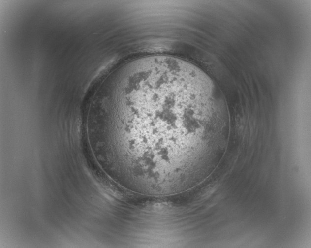 X0000061740304200512161657