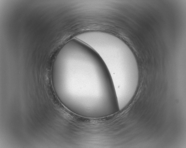 X0000061740305200512161657