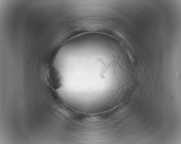 X0000061740307200512161657