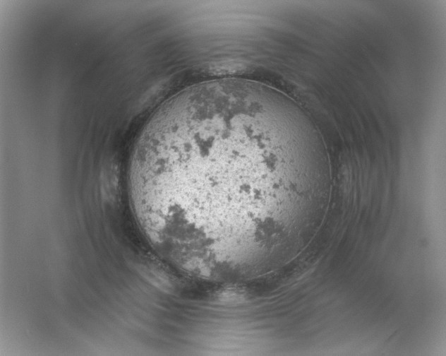 X0000061740308200512161657