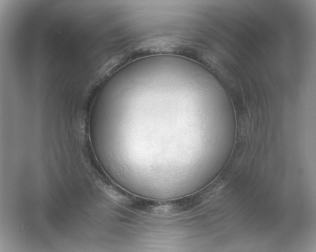 X0000061740309200512161657