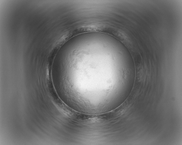 X0000061740310200512161657