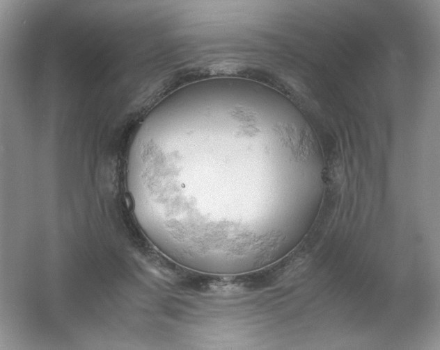 X0000061740311200512161657