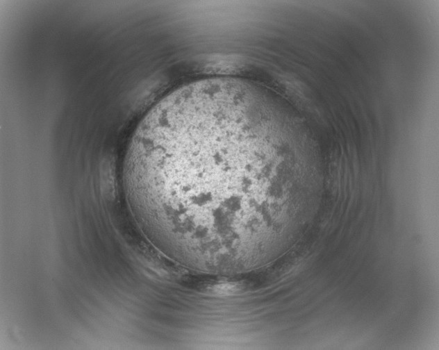 X0000061740312200512161657