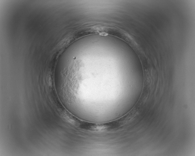 X0000061740313200512161657