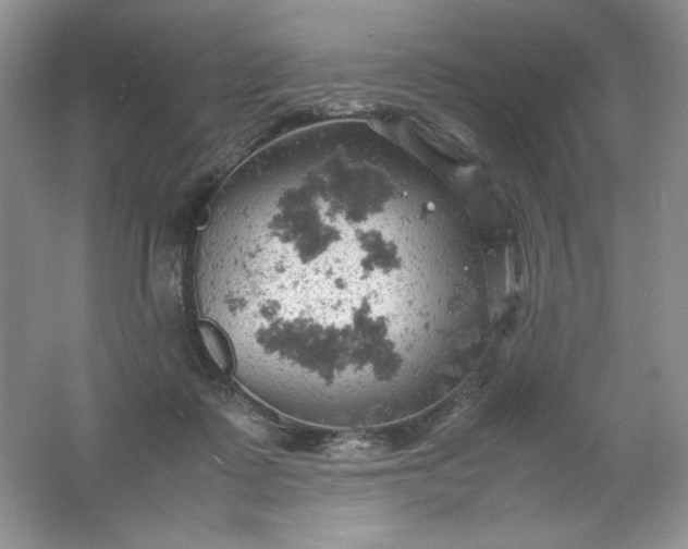 X0000061740315200512161657