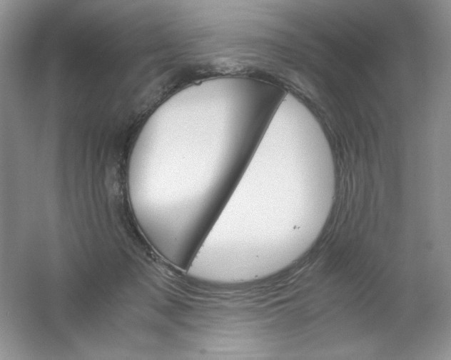 X0000061740317200512161657