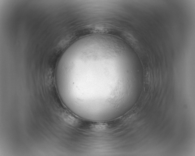 X0000061740318200512161656