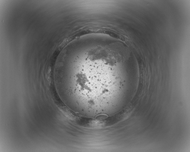 X0000061740319200512161656