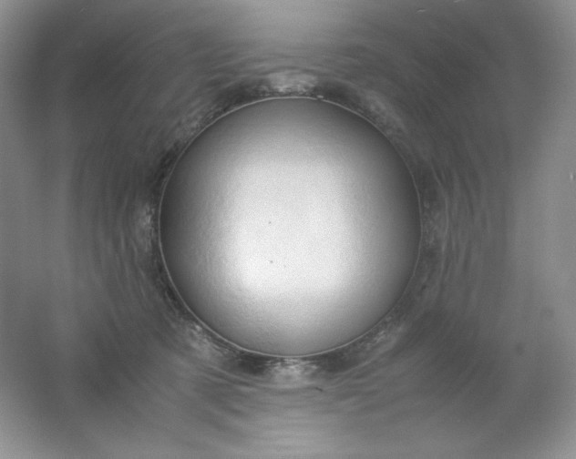 X0000061740321200512161656